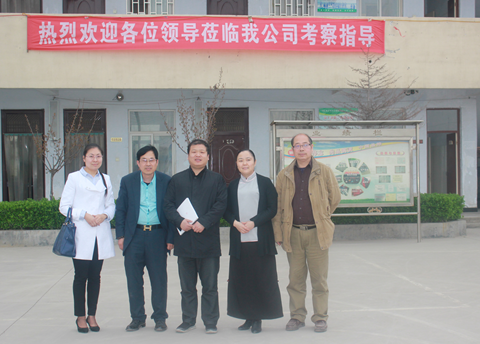 《家庭美德》，擁抱偉志企業