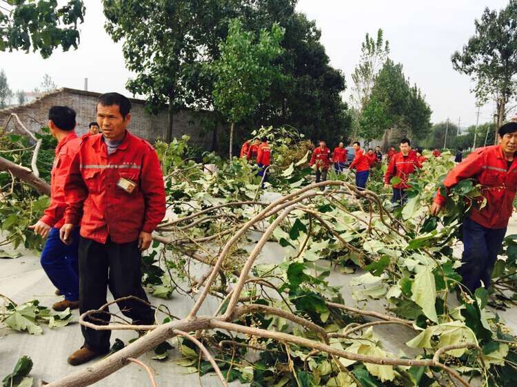 積極的團隊創造出輝煌的明天