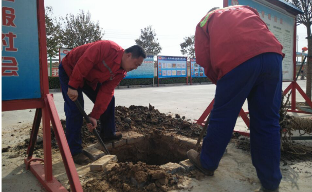 播下綠色樹(shù)種，放飛中國(guó)偉志的希望