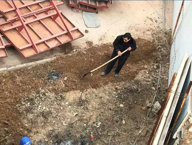 鋼模板廠家播下希望，收獲果實