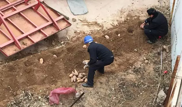 鋼模板廠家播下希望，收獲果實