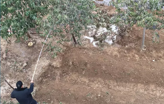 鋼模板廠家播下希望，收獲果實