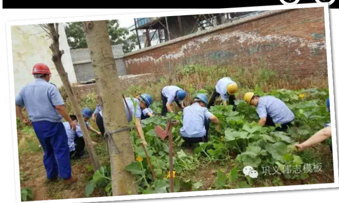 員工冒雨參加義務勞動!感動———偉志鋼模板廠家