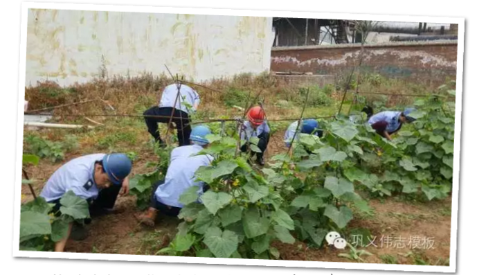 員工冒雨參加義務勞動!感動———偉志鋼模板廠家