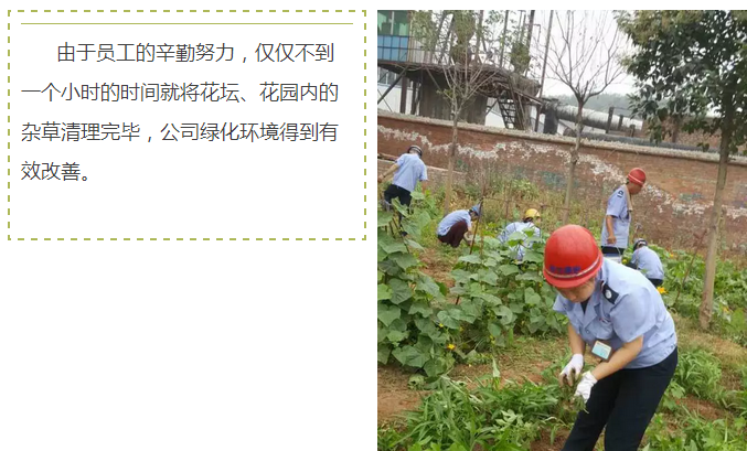 員工冒雨參加義務勞動!感動———偉志鋼模板廠家