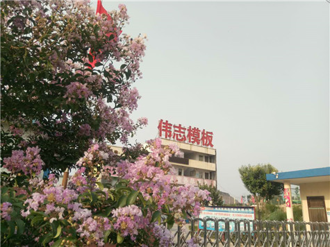 專業(yè) 專注,河南偉志模板在2018年期待您的光臨