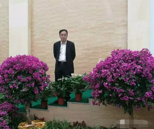 偉志模板董事長來保軍——我為偉志代言，幸福源于心中的愛