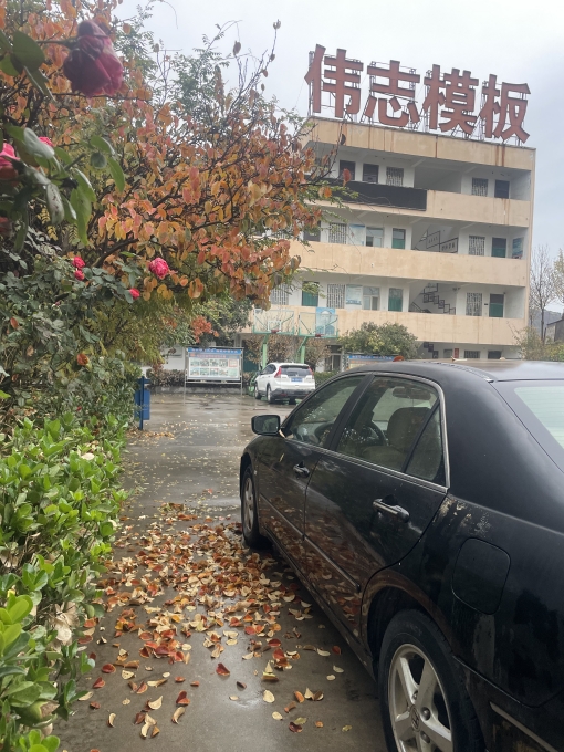 偉志模板溫馨提示：注意大風(fēng)降溫天氣！